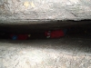 DSCF0361