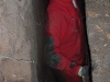 DSCF0377