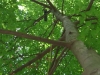 DSCF0385