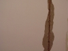 Tag11_1