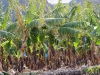 20110225_0034