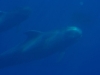20110226_0133
