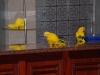 20110227_0066