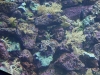 20110227_0152