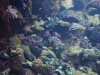 20110227_0155