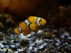 20110227_0167
