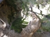 20110227_0976