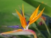 20110227_1241