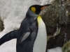 20110228_0059