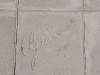 IMGP0698
